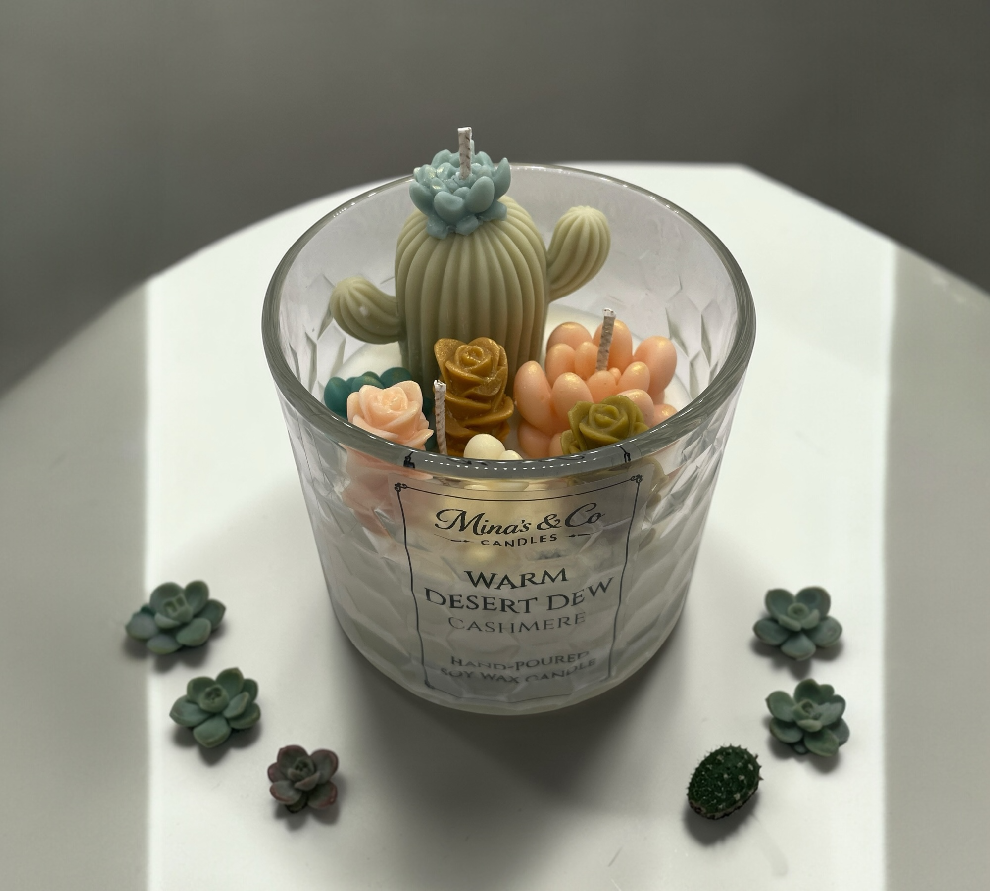 Succulent Collection