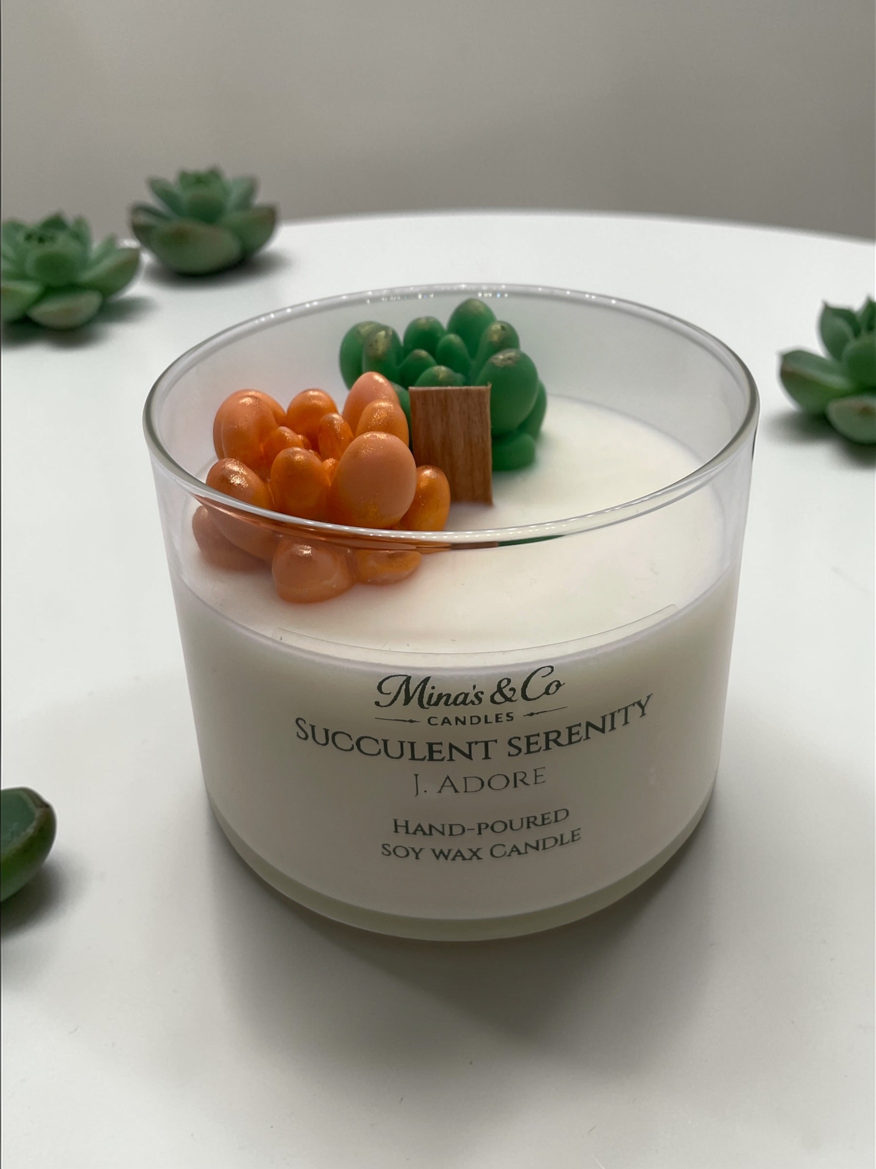 Succulent Serenity