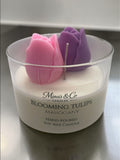 Blooming Tulips