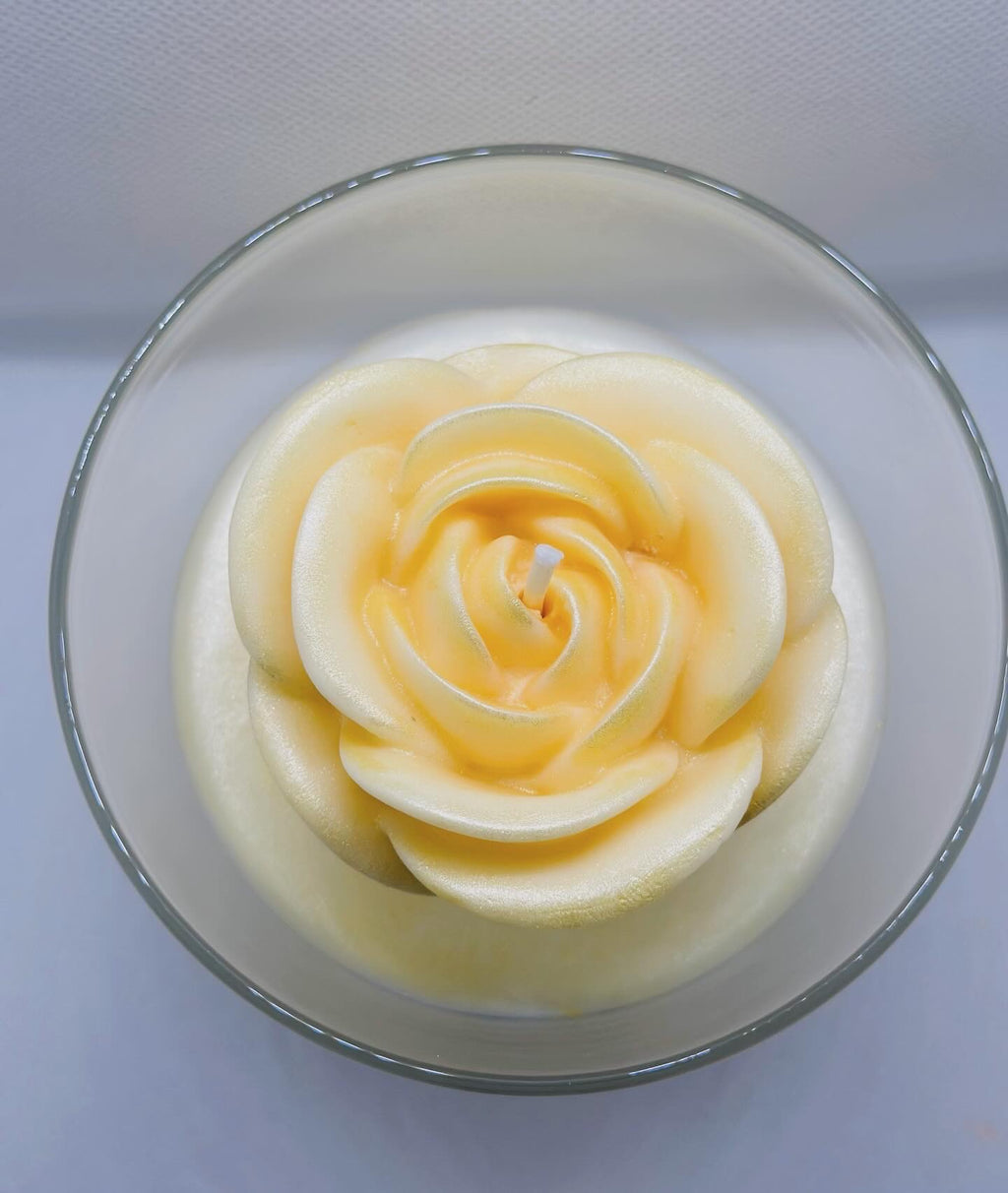 Enchanted Rose