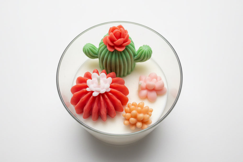 Cactus Water